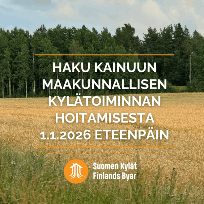 Viljapelto, jonka takana metsää